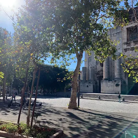 Cortiletto Dell Odeon Catania